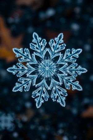 Macro photo of a snowflake on a dark background. Macro photography of a snowflake.の写真素材