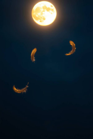 Full moon and flying birds in the night sky, closeup of photoの写真素材