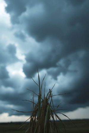 Stormy sky with rain clouds and grass in the field. Dark stormy sky background.の写真素材