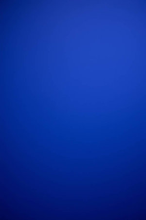 Morning mist on the mountain at Doi Inthanon National Park, Thailand.の写真素材