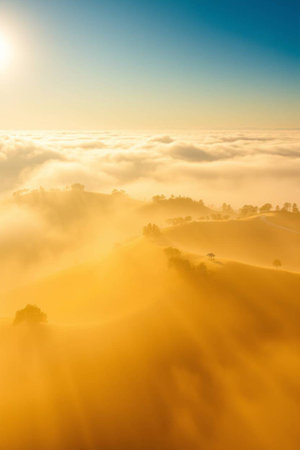 Golden sunrise over misty hills. Sunlight piercing through fog. Panoramic landscape view.の写真素材