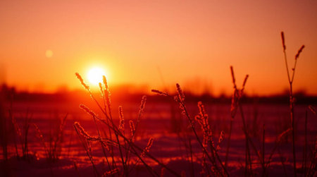 Winter sunset on the background of snow-covered field and bright sunの写真素材