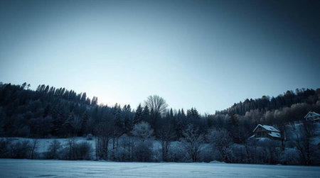 Winter landscape with frozen lake, forest and blue sky. Toned.の写真素材