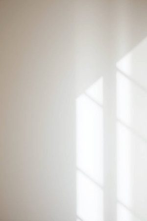 Light and shadow on white wall. Abstract background with copy space.の写真素材
