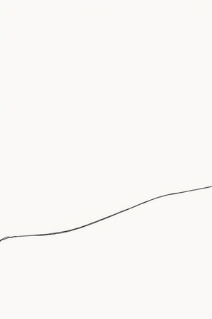 close up of a line on a white background with space for textの写真素材