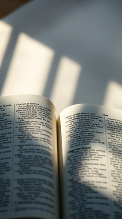Open book with shadow on the wall. Shallow depth of field.の素材