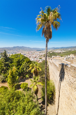 Palm tree, and Malaga city in the background view from Gibralfaro Castle. Malaga, Spain.の写真素材