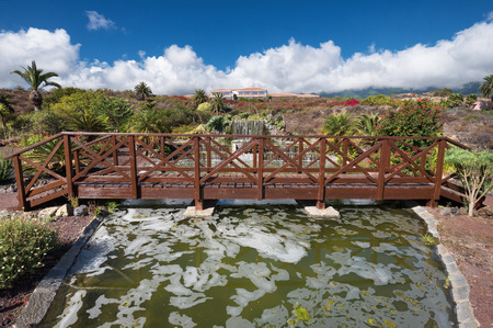 LA PALMA, SPAIN - SEPTEMBER 9:  Garden of parador Nacional hotel on September 9, 2016 in La Palma, Canary island, Spain.のeditorial素材