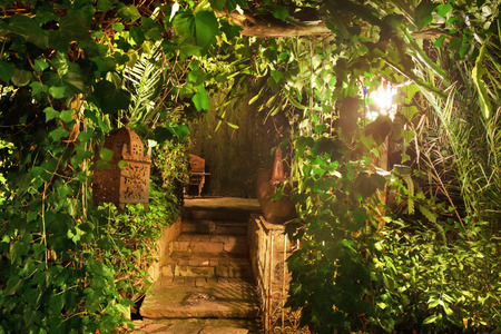 Beautiful garden at night.の写真素材