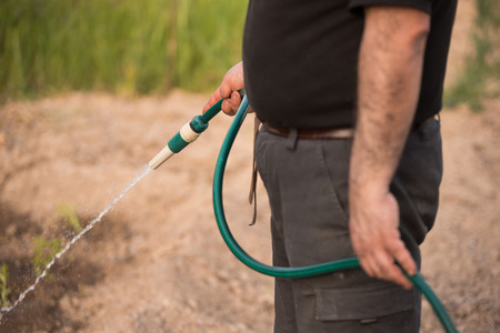 Farmer watering plants in the gardenの写真素材
