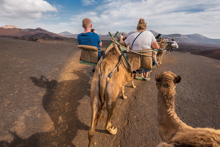 Unidentifiable tourist riding Camels in volcanic landscape in Timanfaya national park, Lanzarote, Canary islands, Spain.のeditorial素材