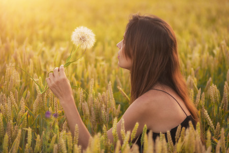 Beautiful young woman blows dandelion in a wheat field in the summer sunset. Beauty and summer conceptの写真素材