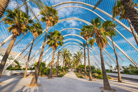 Umbracle modern palm tree park in Valencia, Spain.のeditorial素材