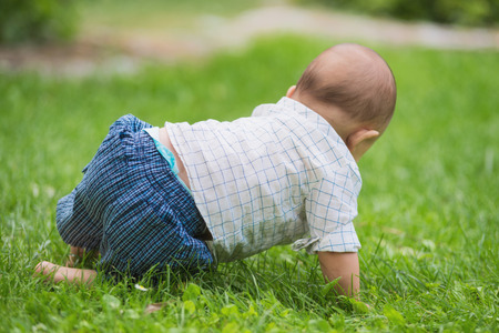 Baby crawling in the grass of the park