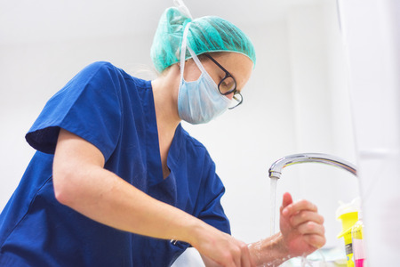 Veterinary surgeon washing hands before operatingの販売画像