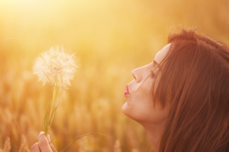 Young woman blowing dandelion in autumn landscape at sunsetの写真素材