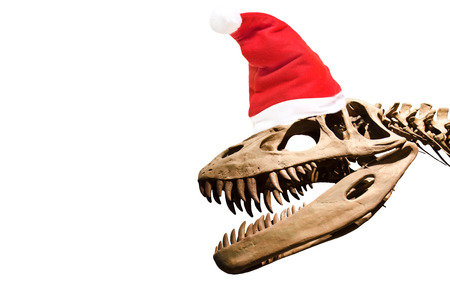 Dinosaur skeleton with santa claus hat over white isolated background .の写真素材