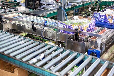 Tenerife, Spain - January 3, 2018 : Conveyor belt in Banana factory packaging line in Tenerife,...