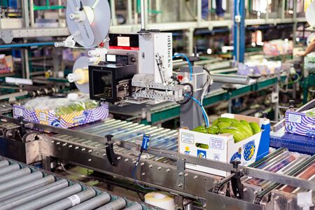 Tenerife, Spain - January 3, 2018 : Conveyor belt in Banana factory packaging line in Tenerife,...