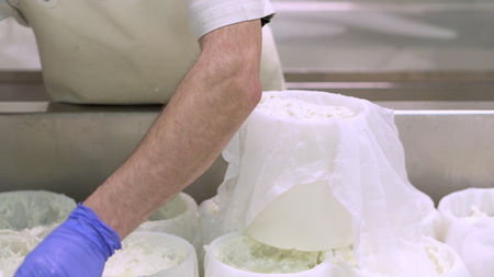 Cheese production industry. Dairy workers close up preparing cheese raw dough into molds.