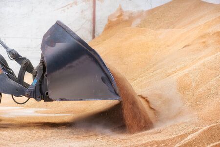 Wheel loader close up, excavator loading sand at construction site.