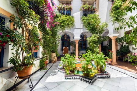 Cordoba, Spain - May 21, 2019: Typical Andalusian Courtyard decorated with Flowers and pots.