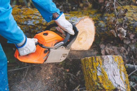 Close up of a lumberjack cutting old wood with a chainsaw.