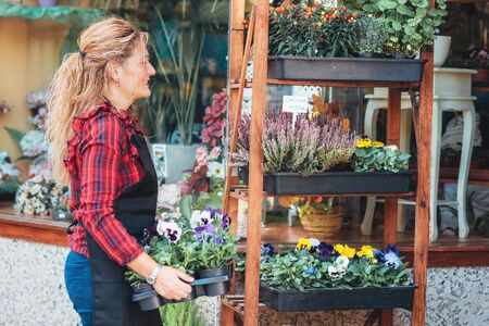 Young beautiful florist posing, smiling among plants.の写真素材