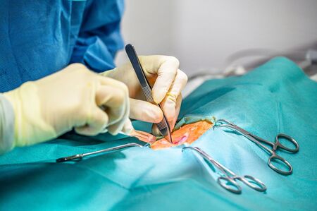 Close-up, Hands of the Professional Surgeon, doing surgery. In the Background Modern Hospital Operation Room .の写真素材