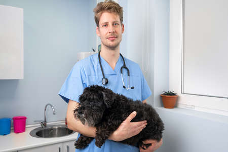 Young male veterinarian doctor with stethoscope holding and examining cute dog at veterinary clinic. Pet health care and medical concept.の写真素材