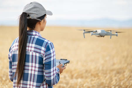 Female farmer flying drone over wheat field using controller, checking productivity with modern...
