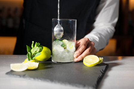 Barman preparing mojito cocktail. High quality photography