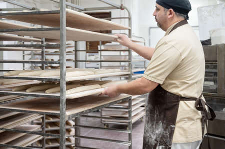 Baker placing tray with formed raw dough on rack trolley ready to bake in the ovenの写真素材