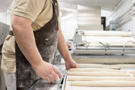 Baker working at industrial bakery preparing trays with fresh loaf.
