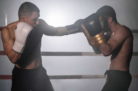 Two muscular mixed martial arts athletes fighting in the ring.の写真素材