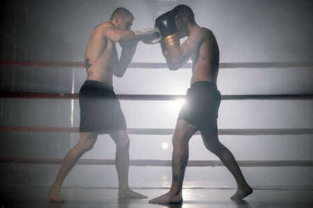 Two muscular mixed martial arts athletes fighting in the ring.の写真素材