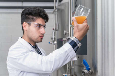 Brewer testing beer at brewery factoryの写真素材
