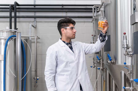 Brewer testing beer at brewery factoryの写真素材