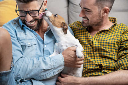 Happy gay couple sitting on floor and playing with dog at homeの写真素材