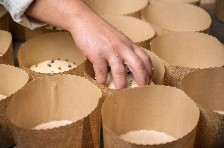 Artisan italian baker putting panettone christmas cake dough into molds.の写真素材