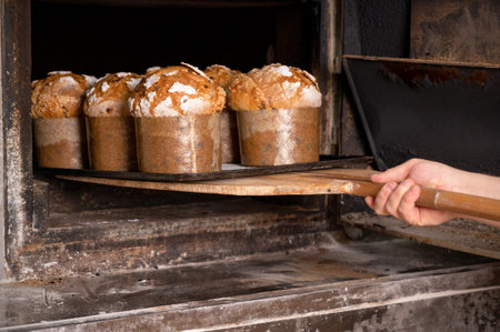 Baker taking out baked panettone from ovenの写真素材