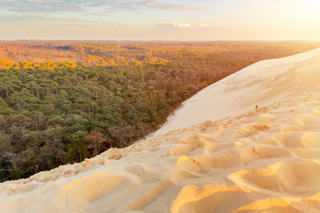 Dune du Pilat, the biggest sand dune in Europe, France.の写真素材