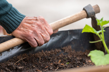 close up of old man hands holding hoe while working in the vegetables garden.の写真素材