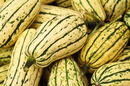 Delicata Squash also called Peanut Squash or Bohemian Squashの写真素材