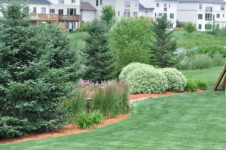 Backyard Landscaping with Lawn and Pondの写真素材