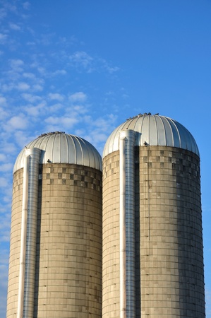 A Pair of Farm Silos Against a Sky with Altocumulus Cloudsの写真素材