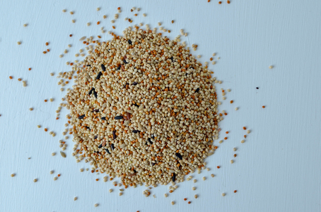 Mixed bird seed isolated on white and grey backdropの写真素材