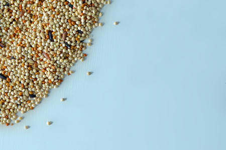 Mixed bird seed isolated on white and grey backdropの写真素材