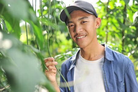 Happy of young Asian farmer male holding the long beans, on the garden.の写真素材