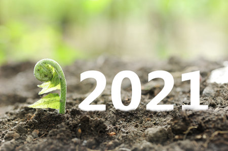2021 New year on growing up investment. Economic and business growth in 2021. Planning and invest...